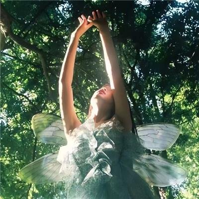 五月槐花香